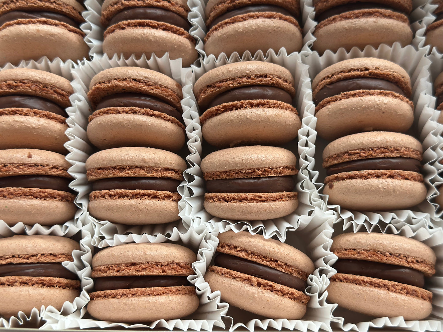 macarons