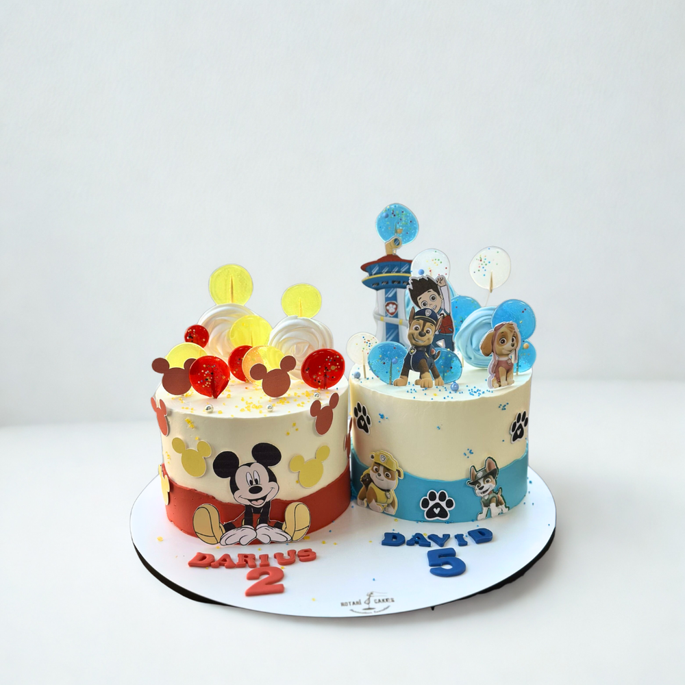 Micky mouse and paw patrol cake