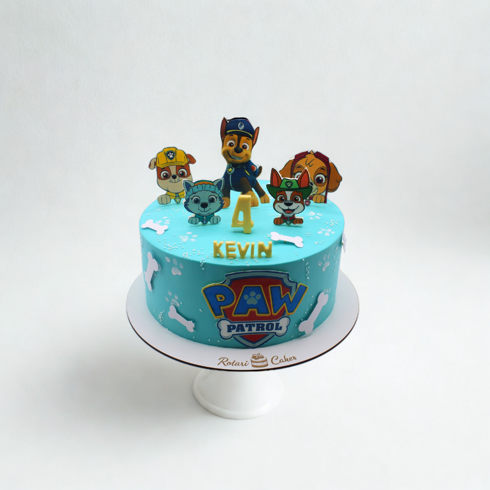 Paw Patrol birthday cake with cartoon characters on a white background